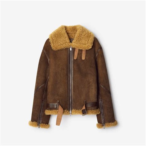 burberry shearling aviator|Shearling Aviator Jacket in Moss .